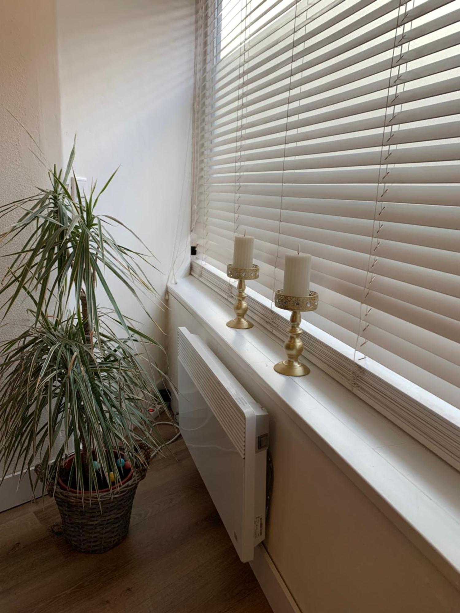 Shortstay Scheveningen
